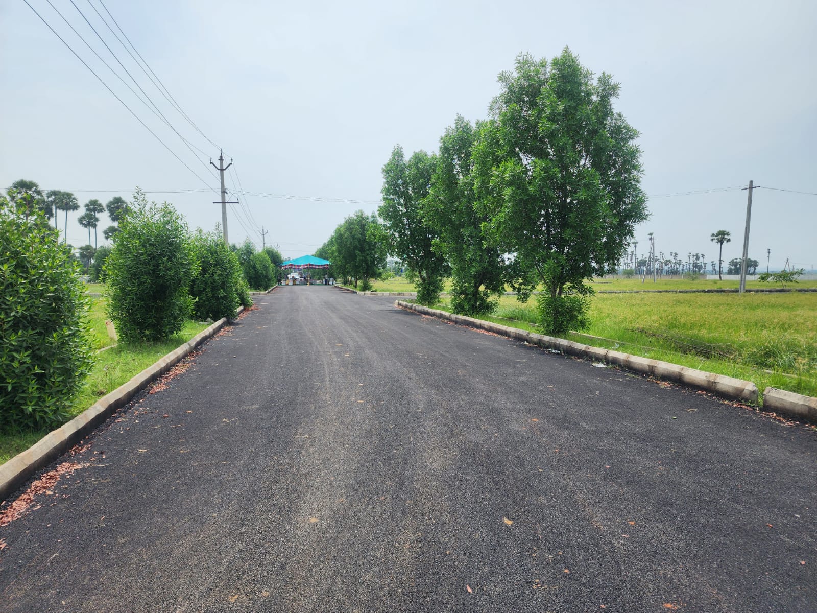 Site Image 1 - Anandapuram Project