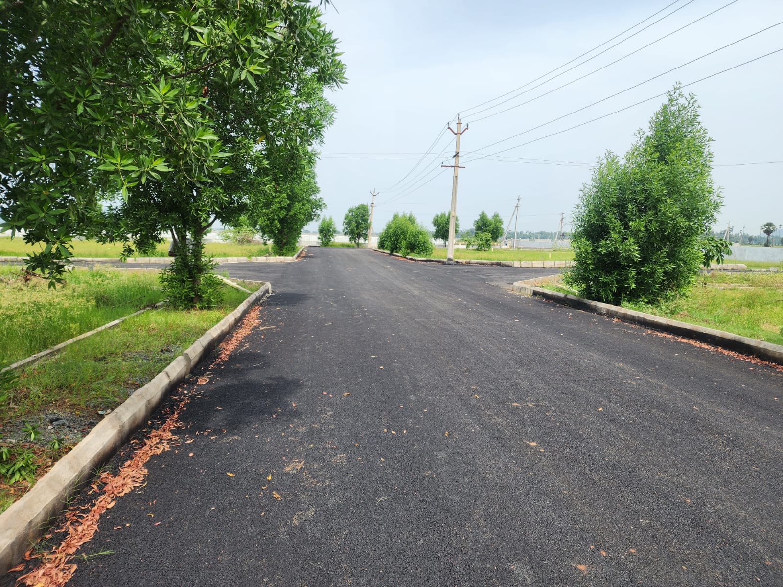 Site Image 3 - Anandapuram Project